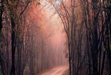 汉诺威尤利尔迎来挑战，联赛首秀备受瞩目，打响国际对抗赛