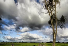 汉诺威尤利尔迎来挑战，联赛首秀备受瞩目，打响国际对抗赛