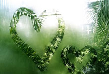 汉诺威尤利尔迎来挑战，联赛首秀备受瞩目，打响国际对抗赛