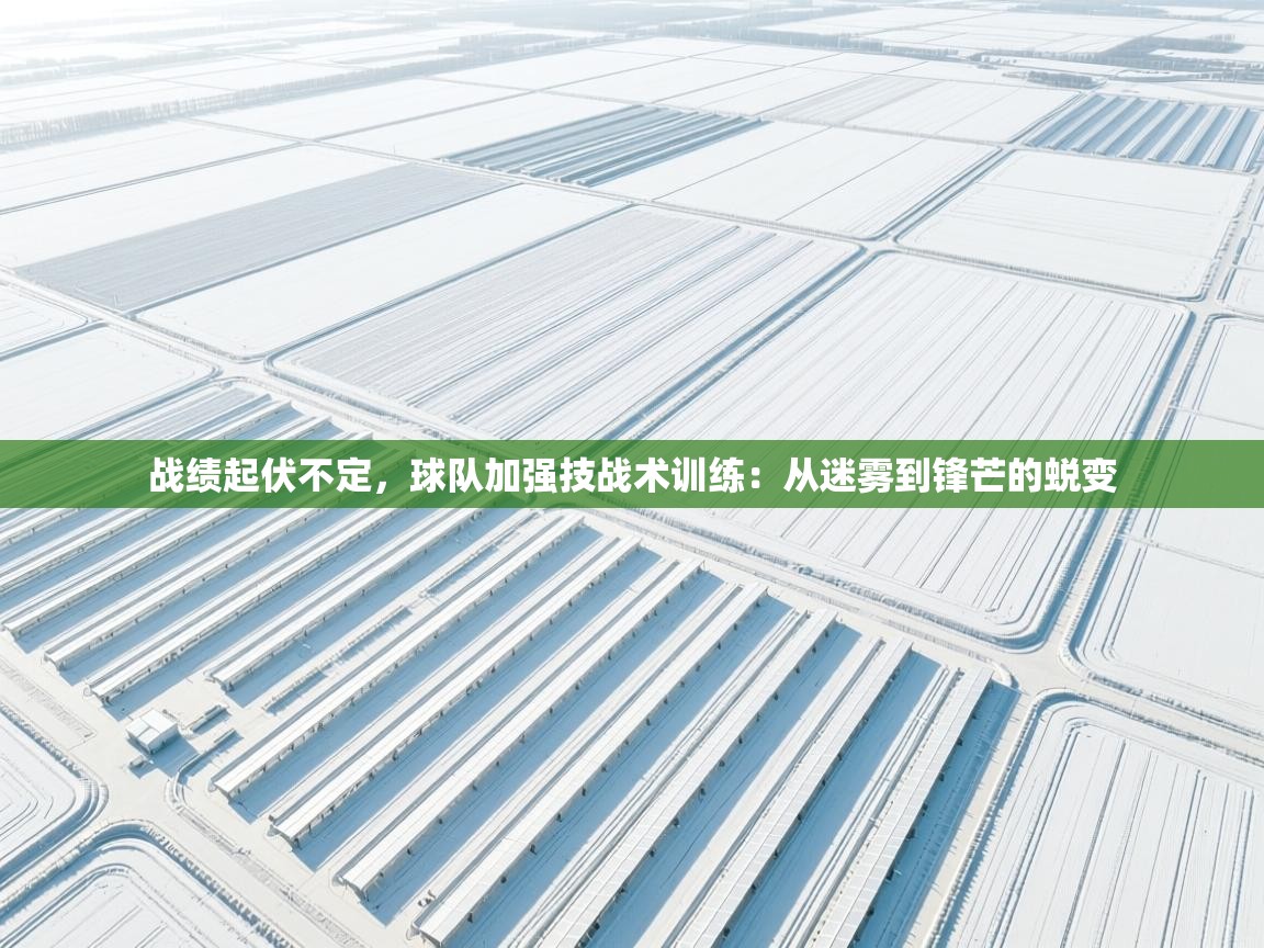 战绩起伏不定,球队加强技战术训练:从迷雾到锋芒的蜕变 第2张
